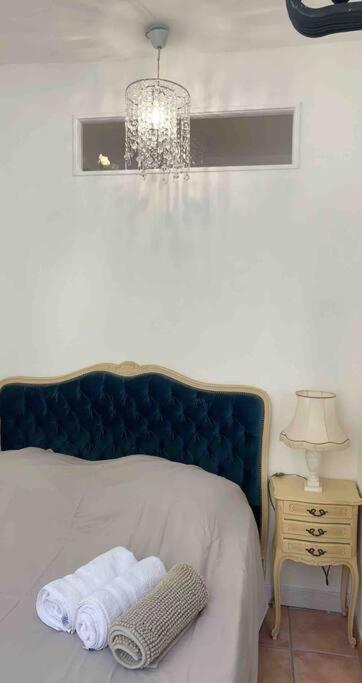 Magnifique Appartement Plein Coeur Avignon Intra-Muros Kültér fotó